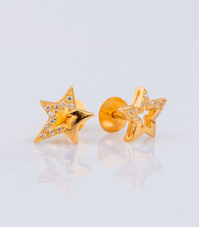 Earrings - DR625114